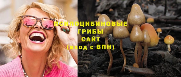 дживик Волосово