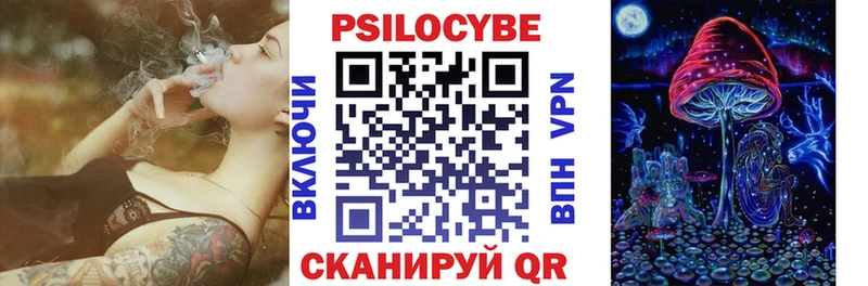Псилоцибиновые грибы MAGIC MUSHROOMS  как найти закладки  blacksprut ссылки  Шахты 